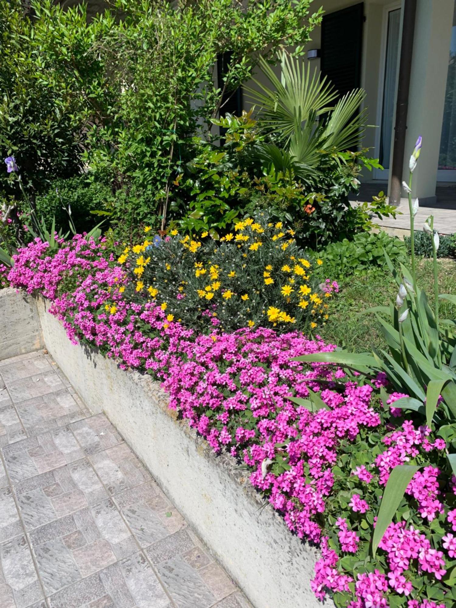 B&B La Salina Cannuzzo Ngoại thất bức ảnh