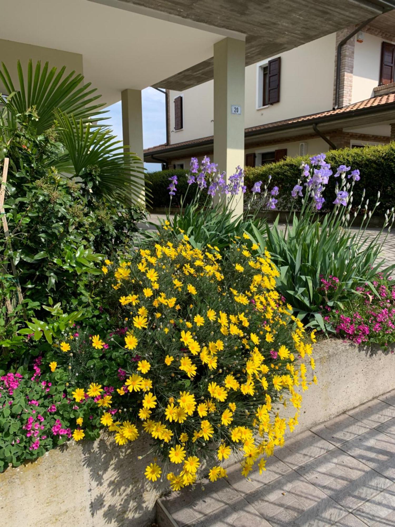B&B La Salina Cannuzzo Ngoại thất bức ảnh